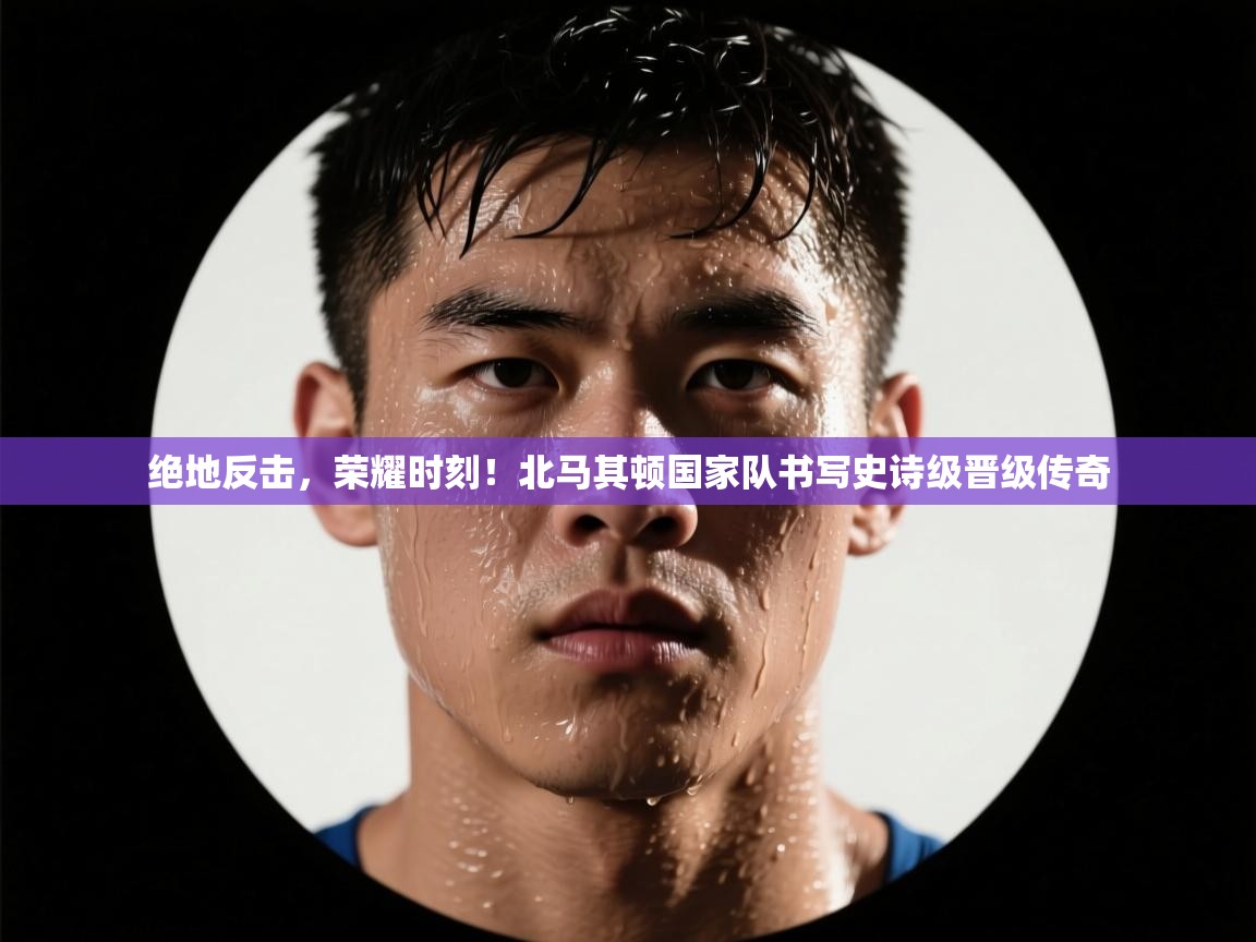 绝地反击,荣耀时刻!北马其顿国家队书写史诗级晋级传奇 第2张