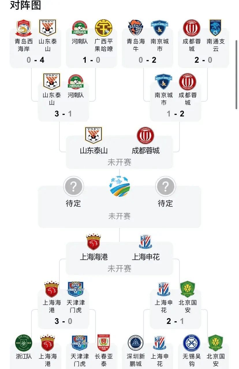 1比3蓉城！泰山队无缘足协杯8强，揪出3大混子，本赛季恐4大皆空的简单介绍